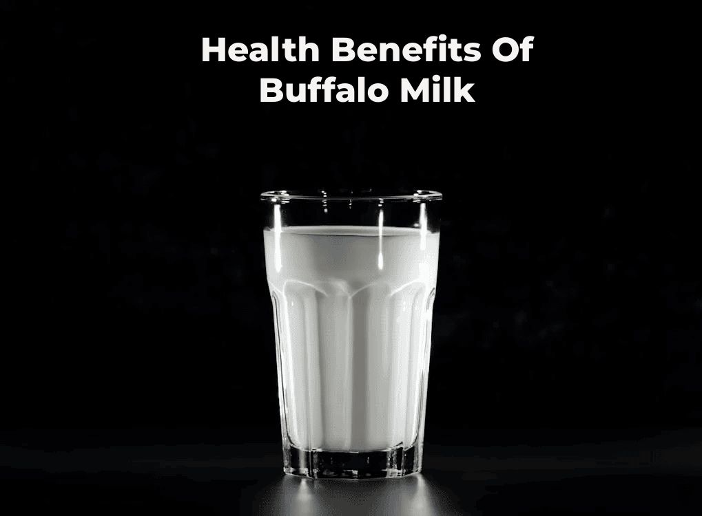 Wellhealthorganic.Com : Health Benefits Of Buffalo Milk